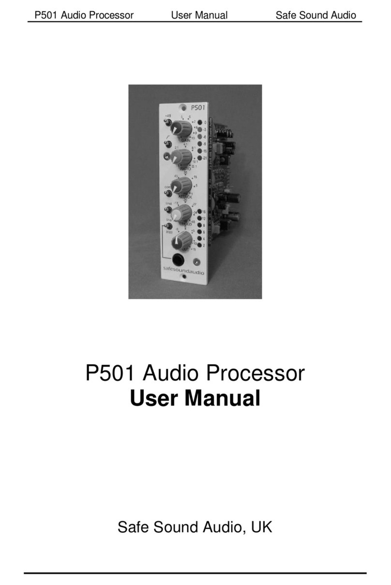 Safe Sound Audio P501 user manual