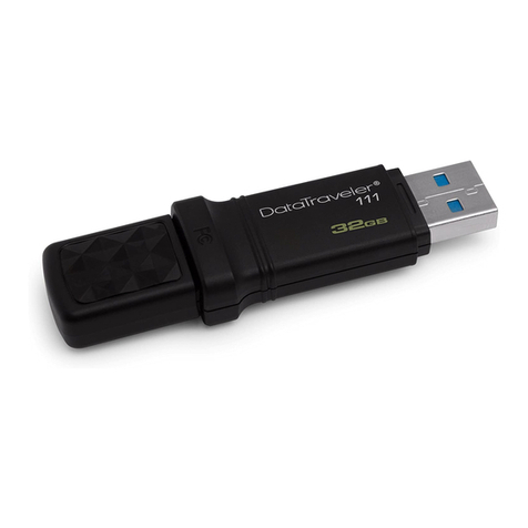 Kingston Technology DT111 User manual