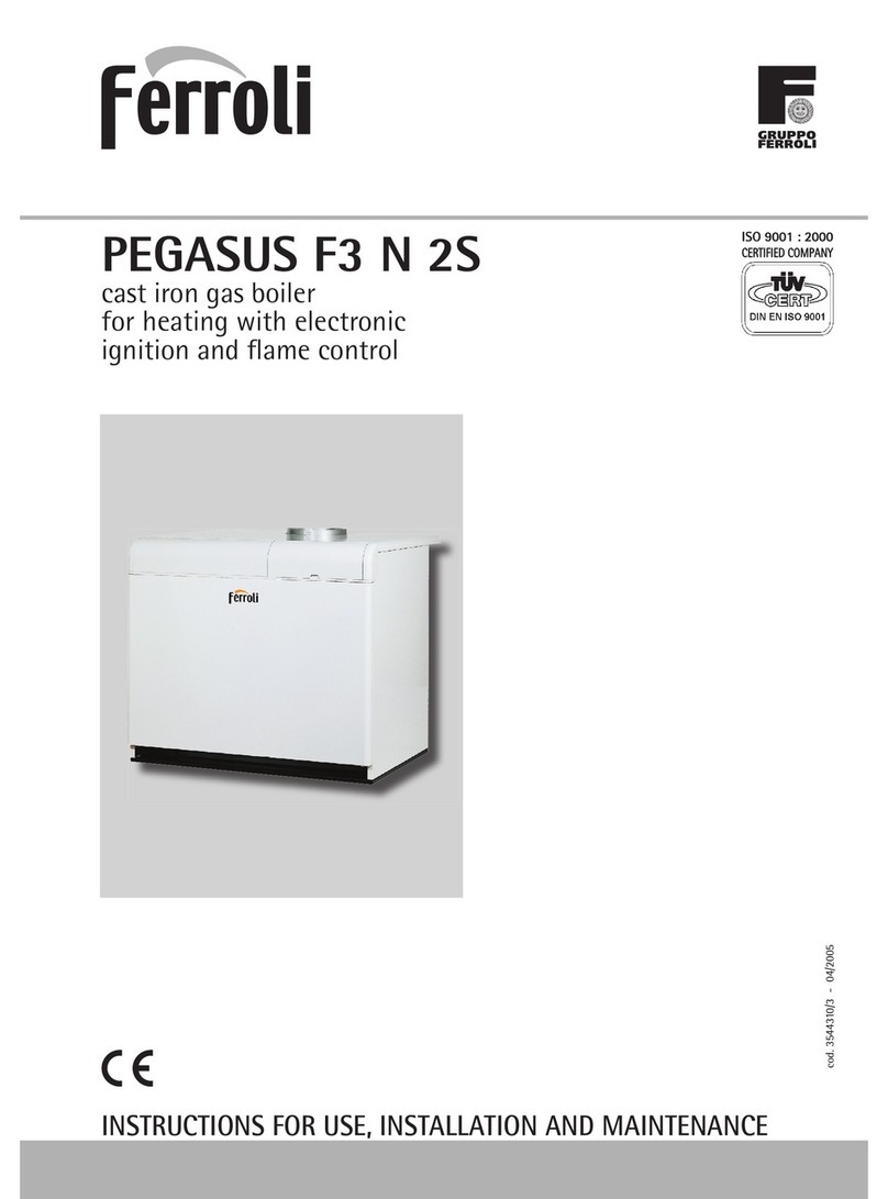 Ferroli PEGASUS F3 N 2S Troubleshooting guide Ferroli PEGASUS F3 N 2S Troubleshooting guide
