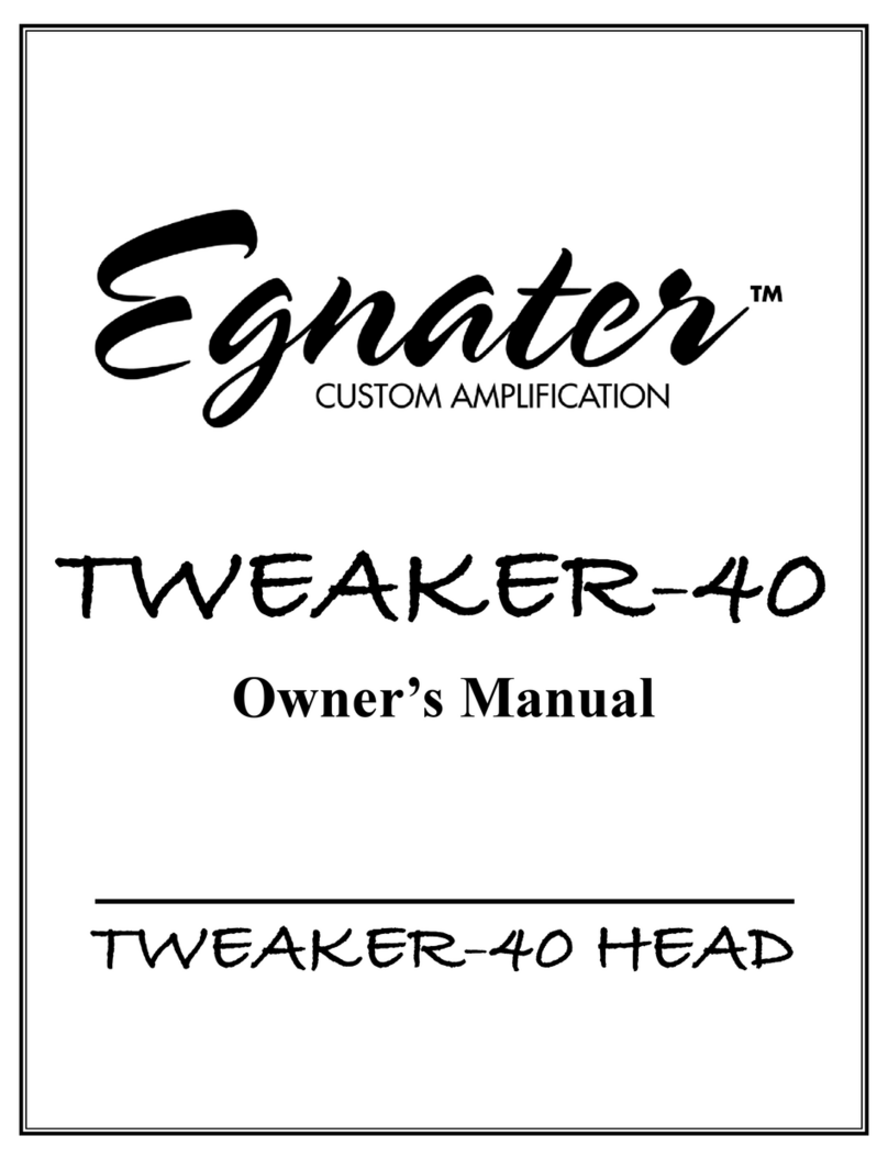 Egnater TWEAKER-40 HEAD owner's manual