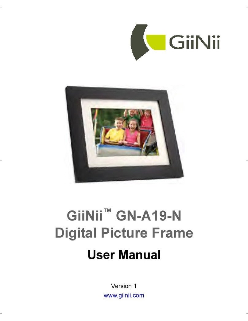 GiiNii GN-A19-N user manual