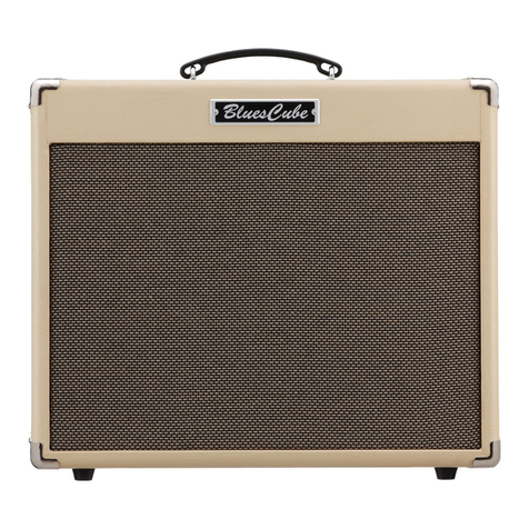 Roland Blues Cube BC-60 User manual