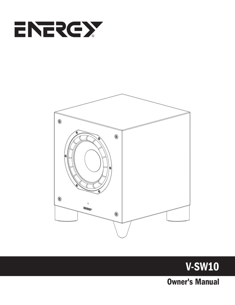 Energy V-SW10 owner's manual
