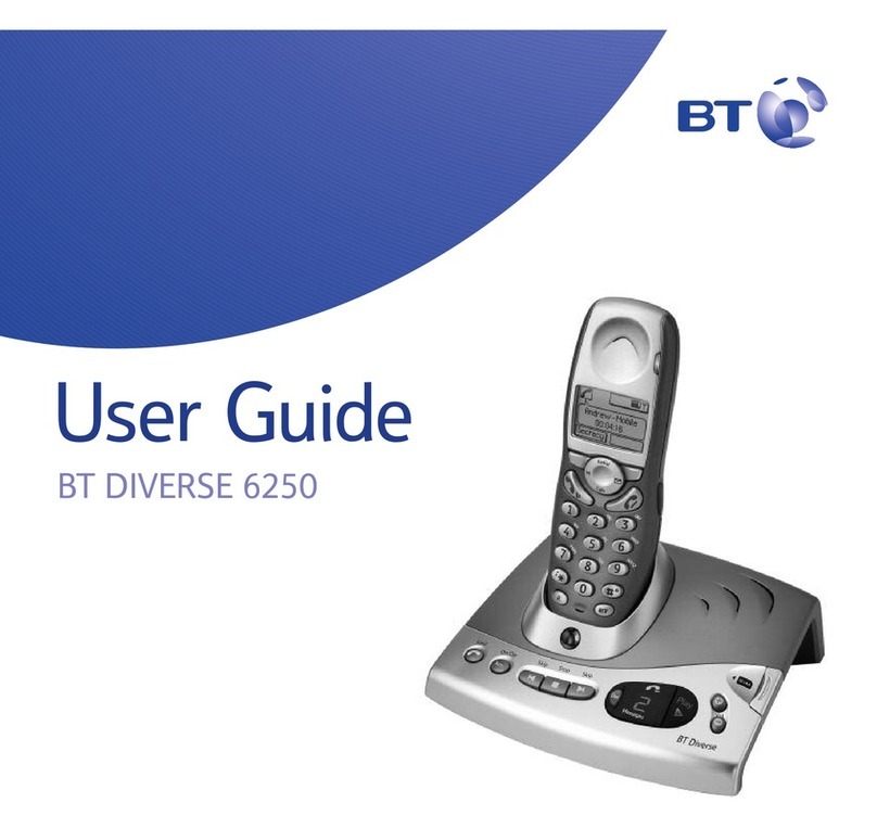 BT DIVERSE 6250 User manual