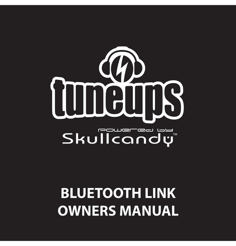 Skullcandy Portable Link user guide