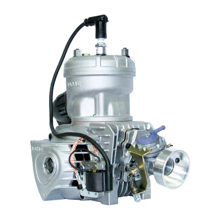 IAME 125cc LEOPARD TaG Installation instructions