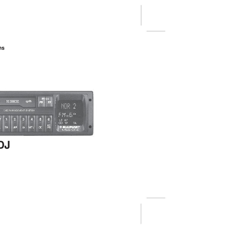 Blaupunkt KINGSTON DJ User manual