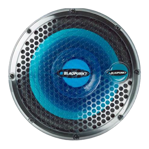 Blaupunkt TSW 1200 User manual