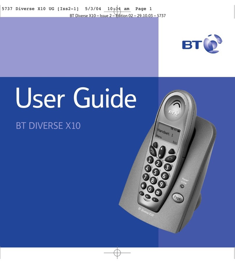 BT DIVERSE X10 User manual