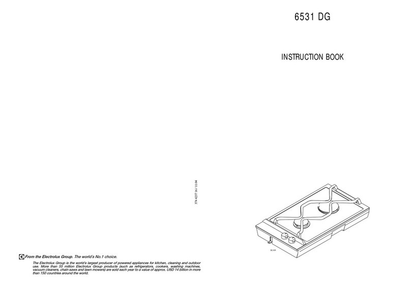 AEG 6531 DG User manual