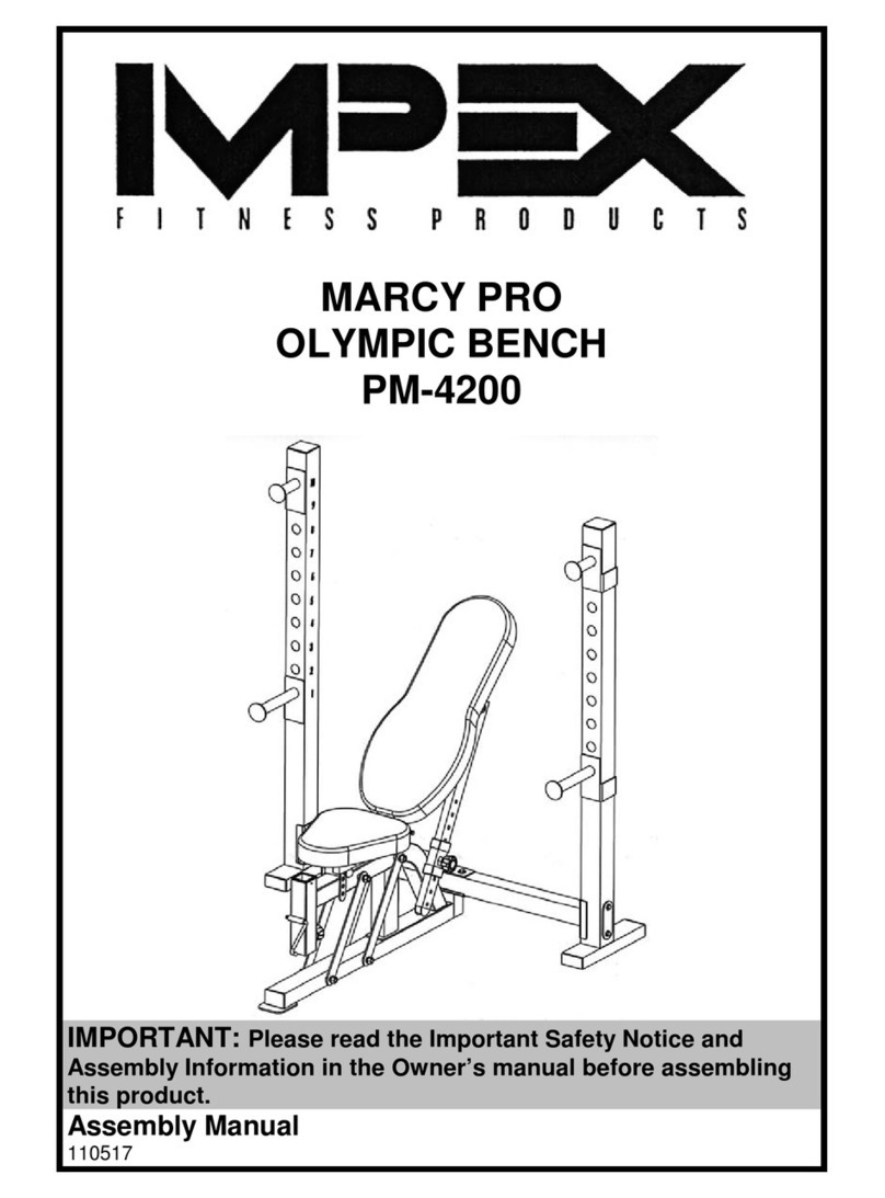 Impex PM-4200 User manual