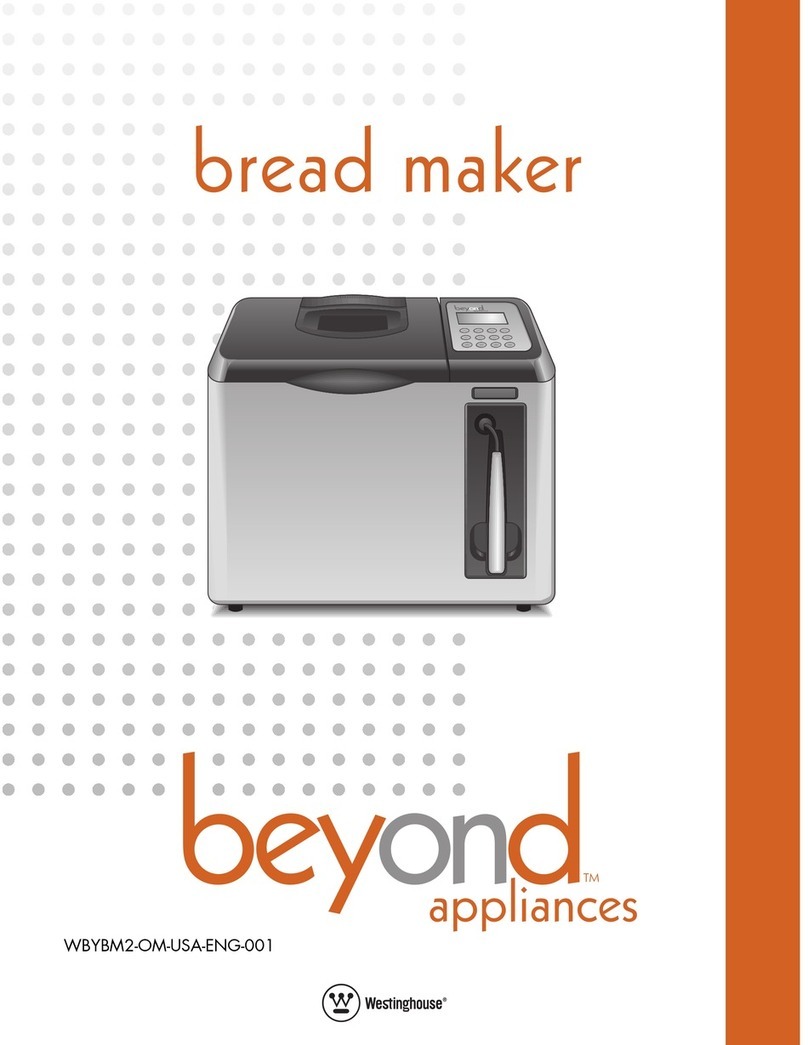 Beyond Beyond WBYBM2 owner's manual