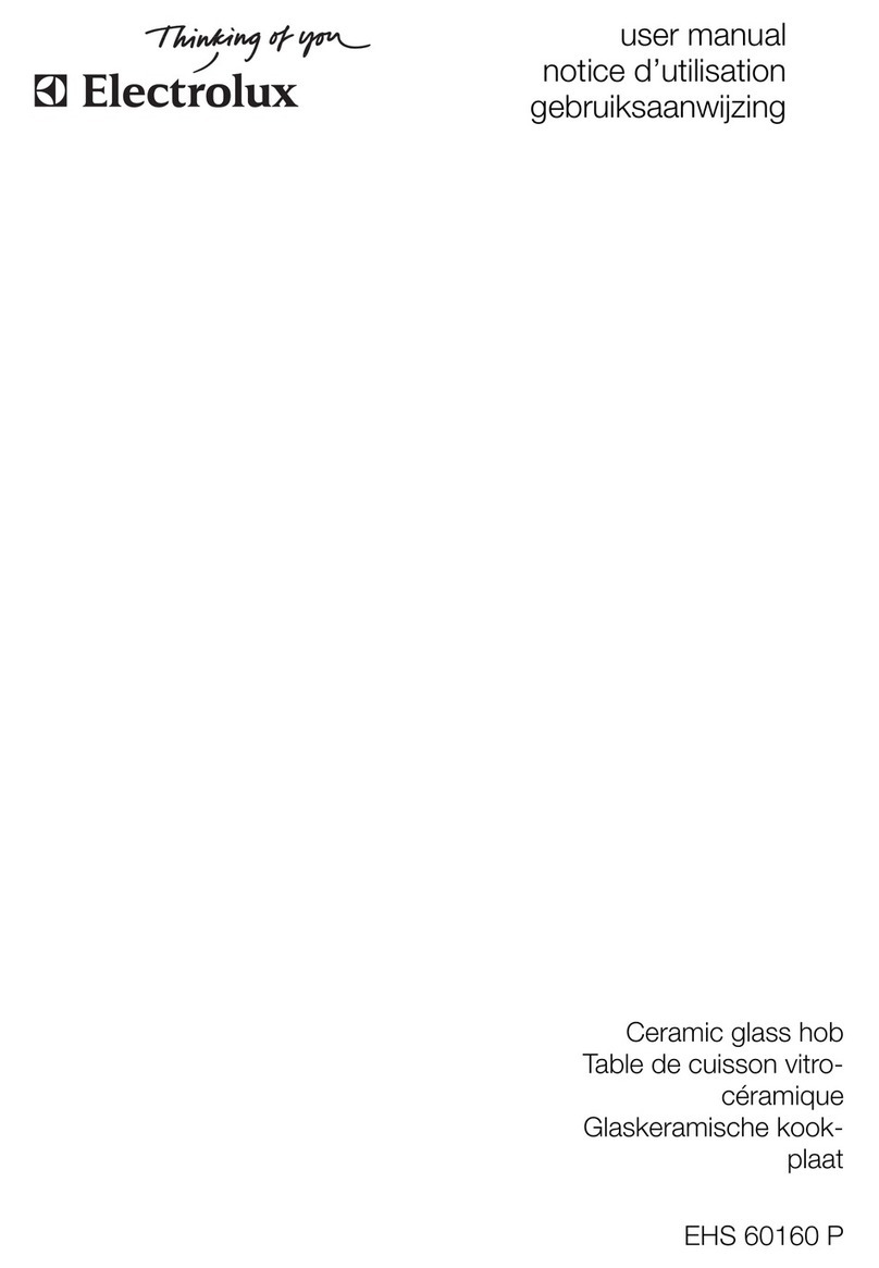 Electrolux EHS60160P User manual