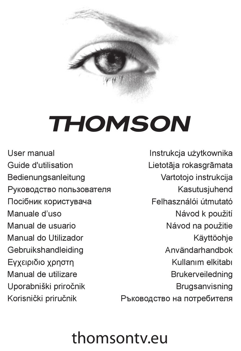 THOMSON TV Set User manual