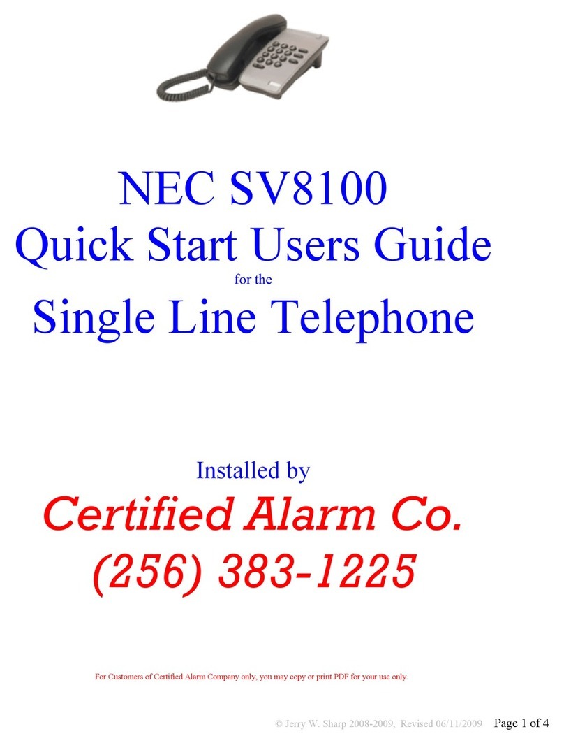 NEC Univerge SV8100 Setup guide