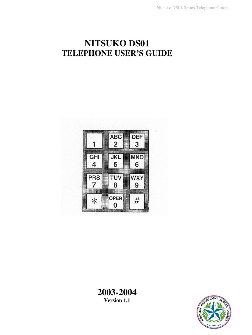 Nitsuko DS01 user guide