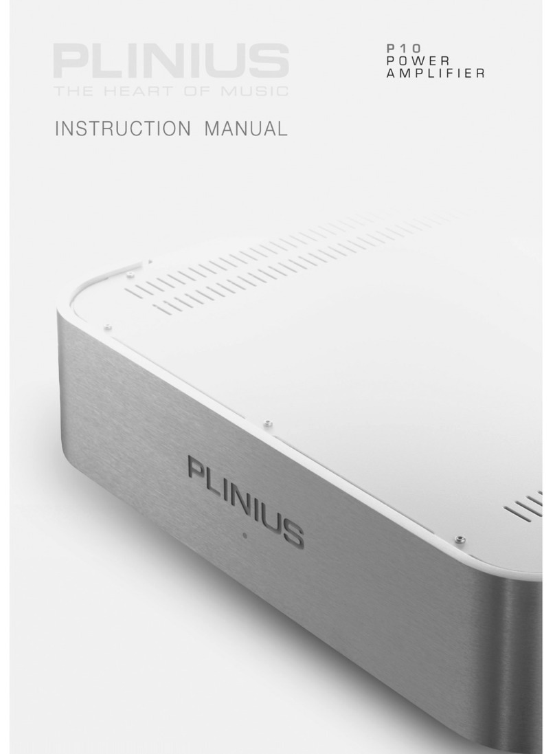 Plinius P10 User manual
