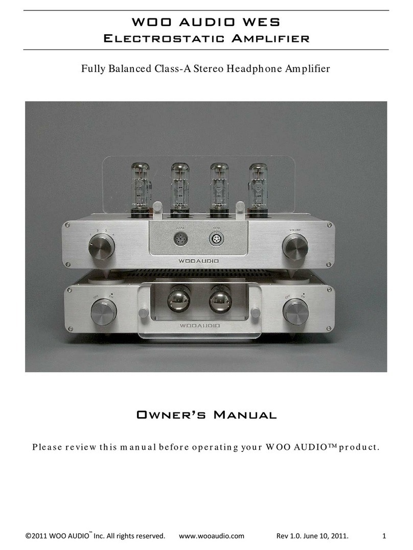 Woo Audio WES user manual