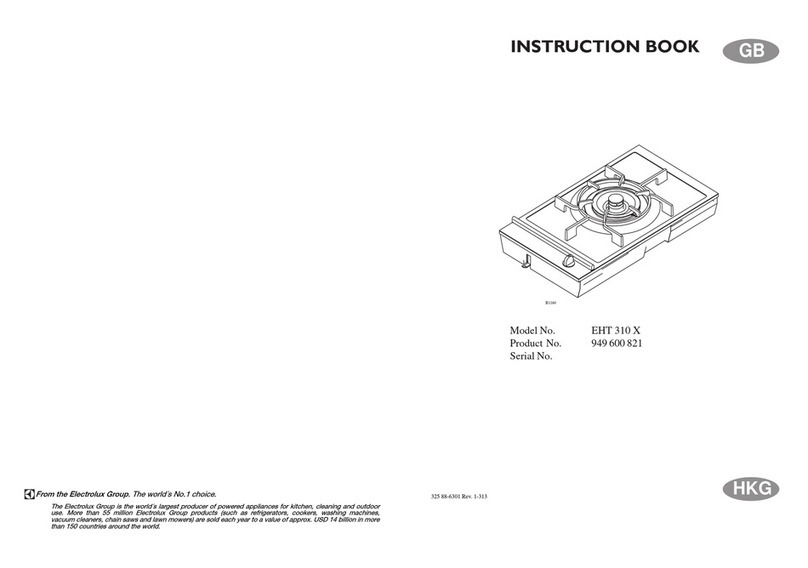 Electrolux EHT 310 X User manual