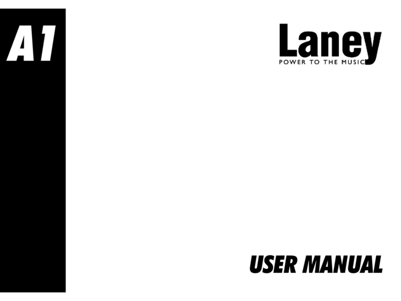 Laney A1 user manual