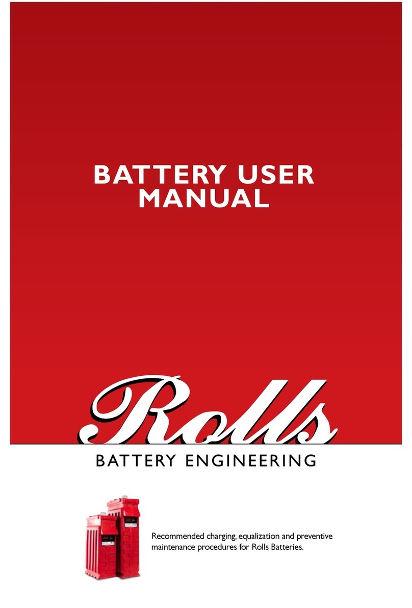 Rolls Battery user manual