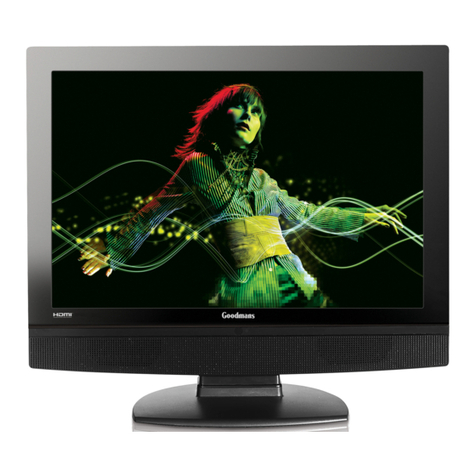 Goodmans GTVL19W17HD User manual