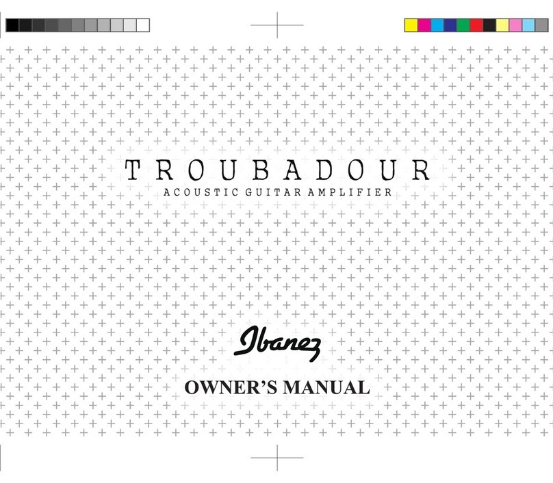 Ibanez Troubadour User manual