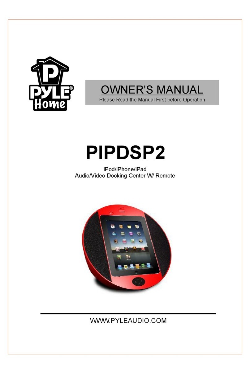 Pyle PIPDSP2 owner's manual