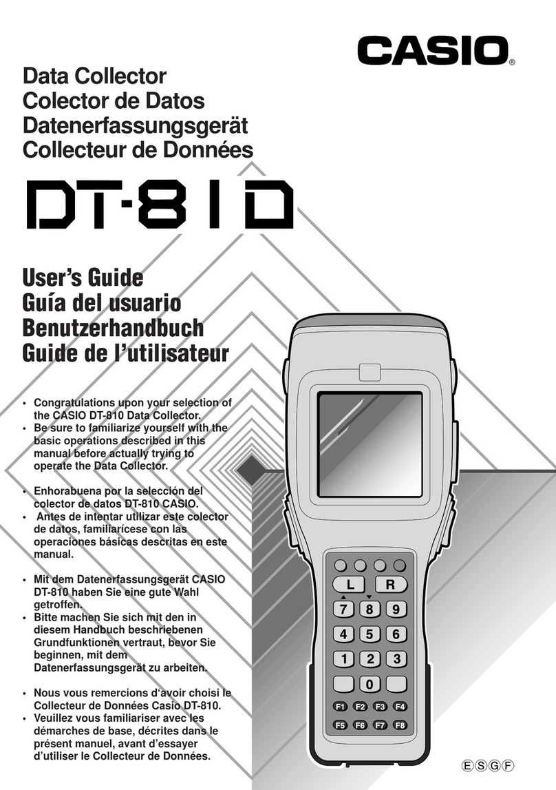 Casio DT-81D user guide