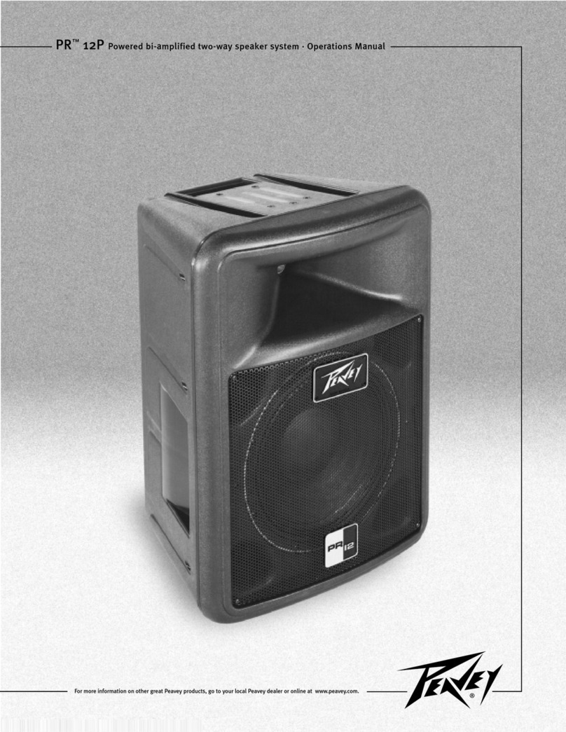 Peavey PR 12P User manual