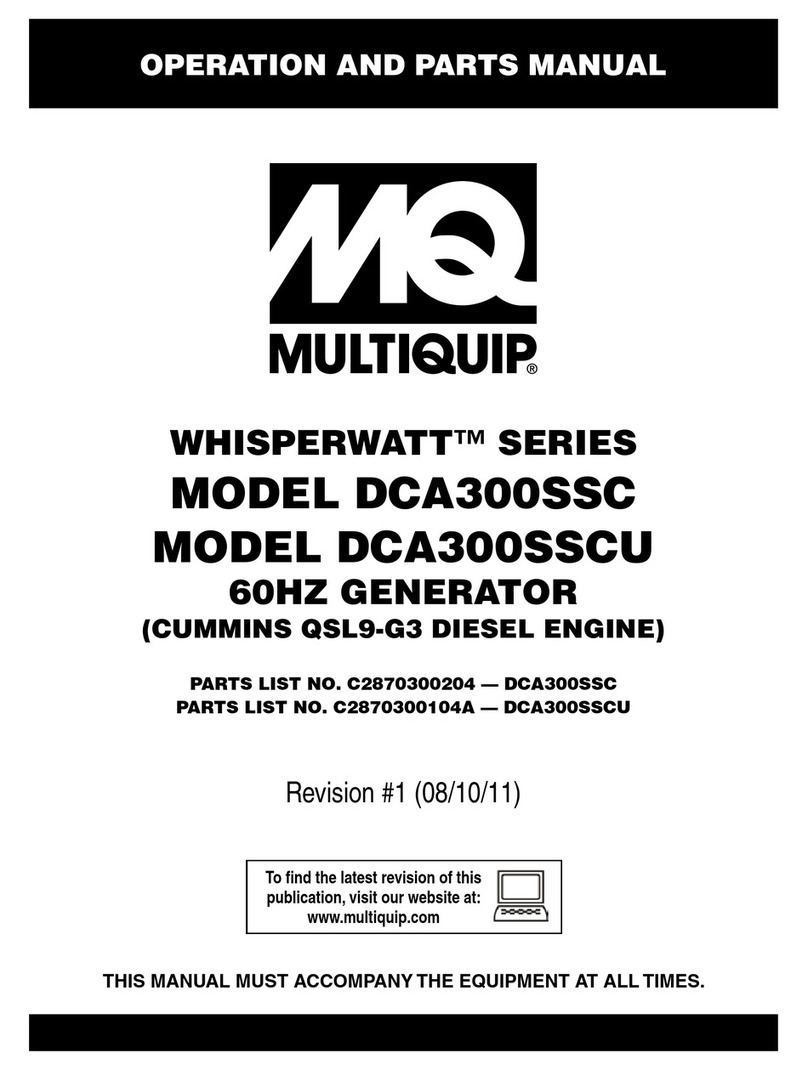 MULTIQUIP WhisperWatt DCA300SSC Guide