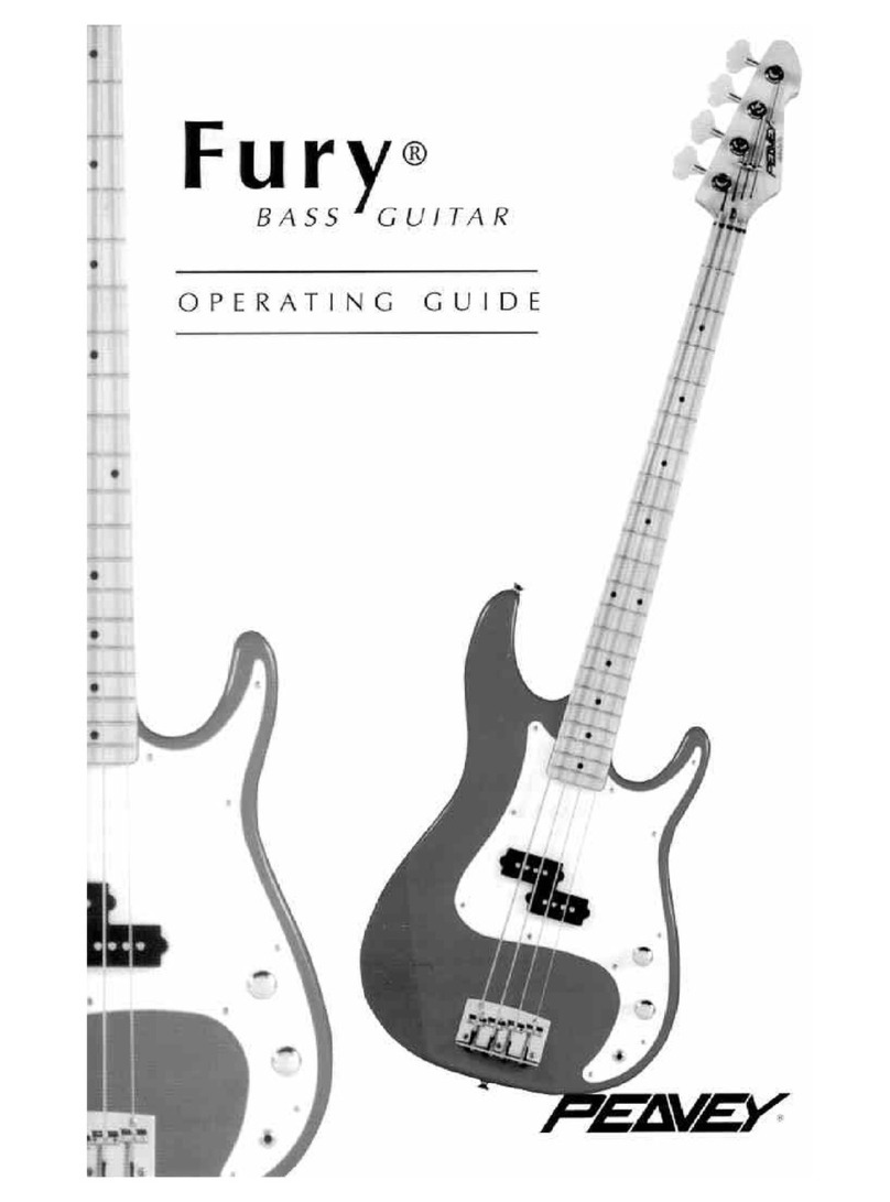 Peavey Fury operating guide