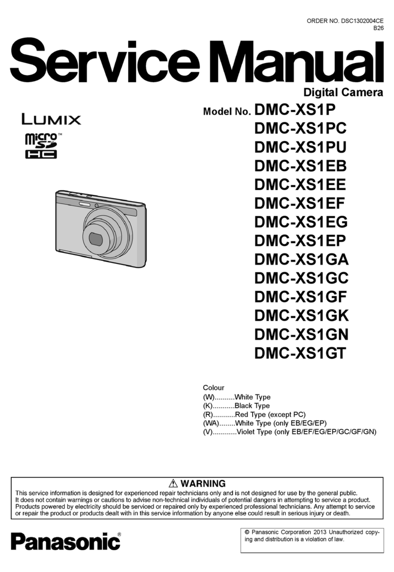Panasonic Lumix DMC-XS1P User manual