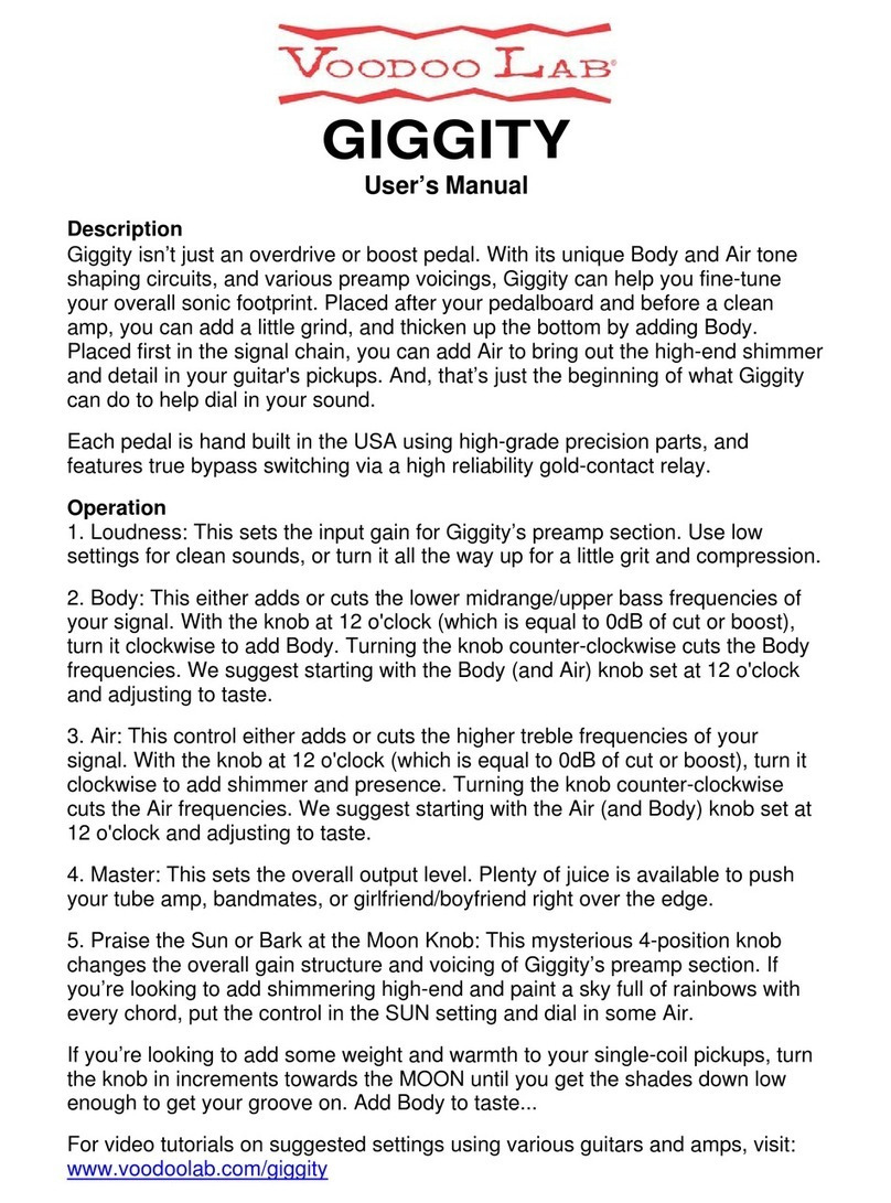 Voodoo Lab GIGGITY User manual
