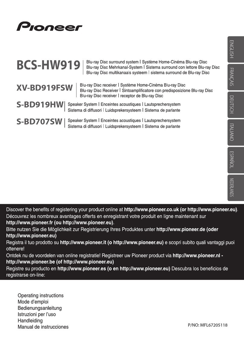 Pioneer BCS-HW919 operating instructions