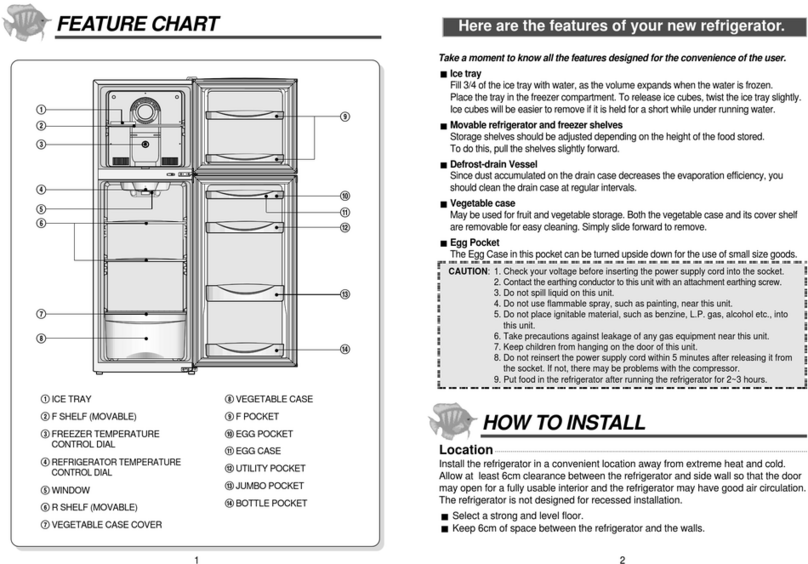 Daewoo DFT-246 User manual