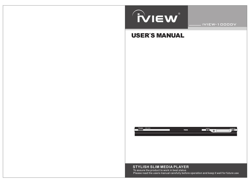 I-View iVIEW-1000DV user manual