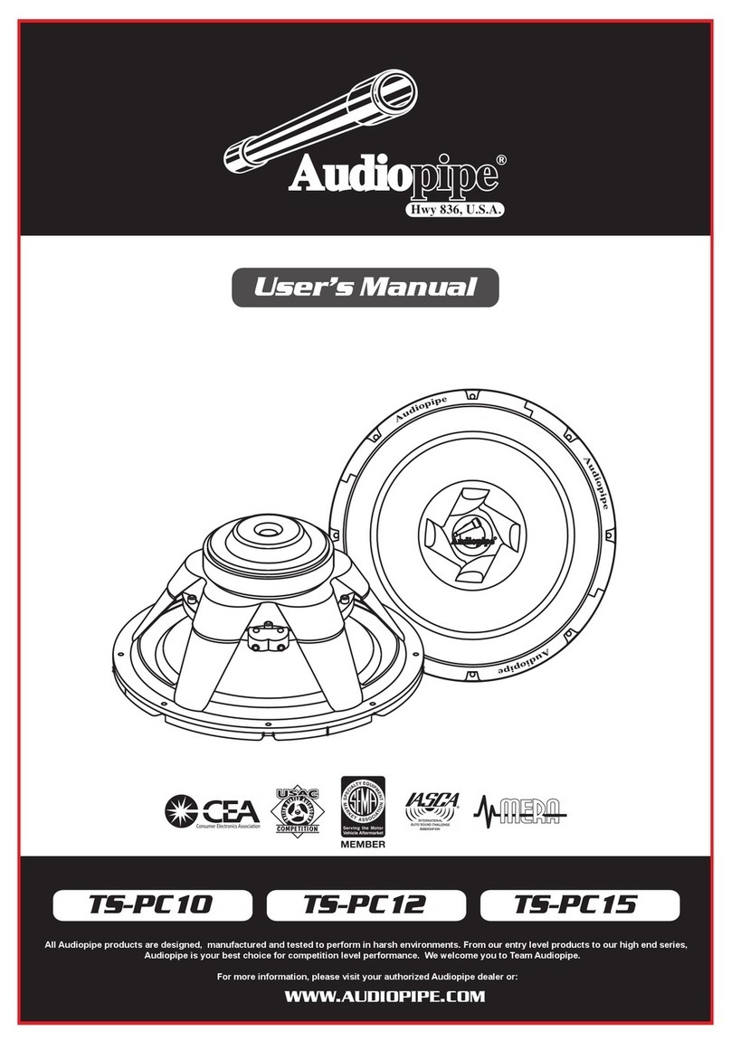 Audiopipe TS-PC10 User manual