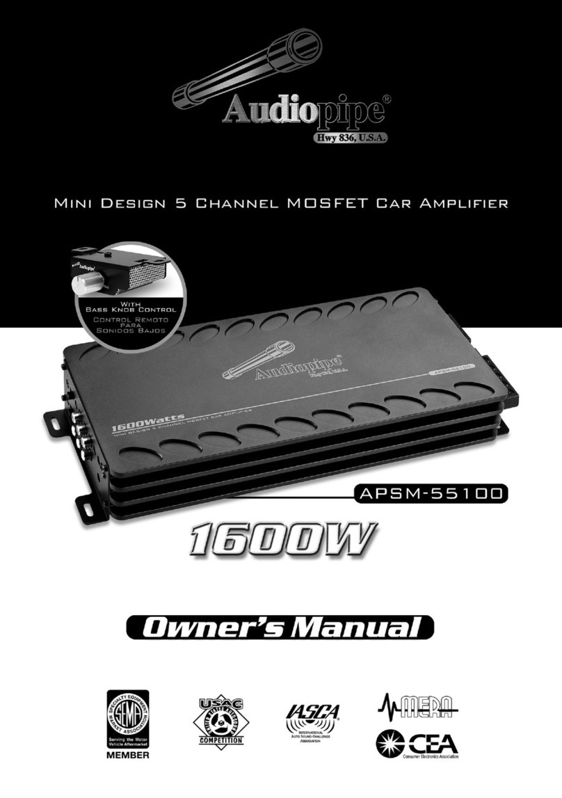 Audiopipe 1600W owner's manual