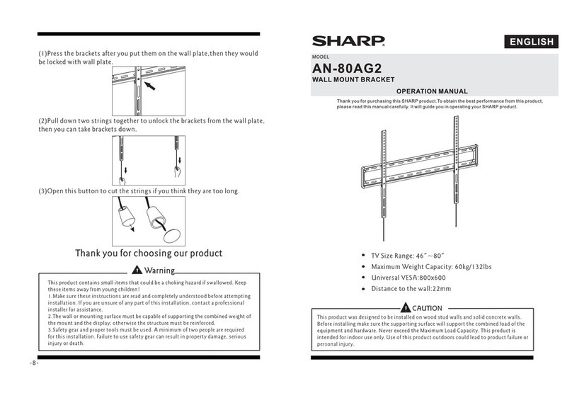 Sharp AN-80AG2 User manual