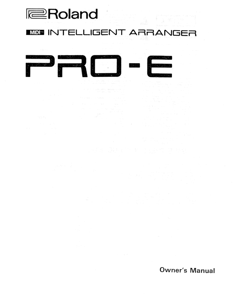 Roland PRO-E User manual