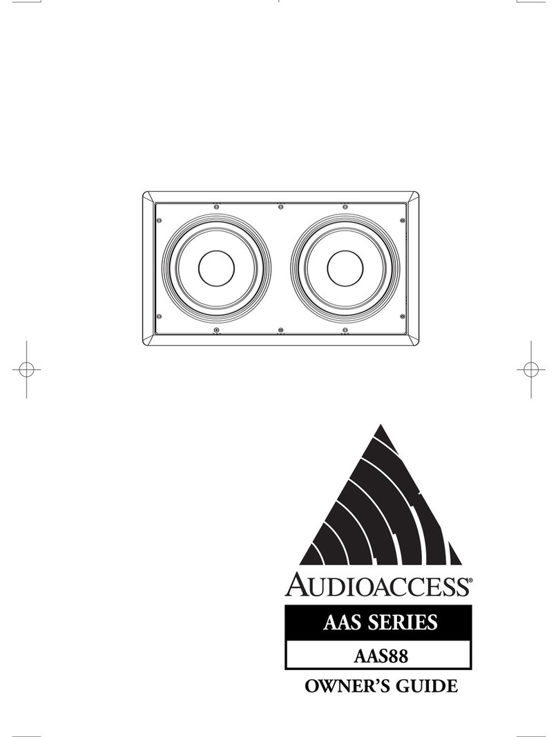 Audioaccess AAS88 User manual