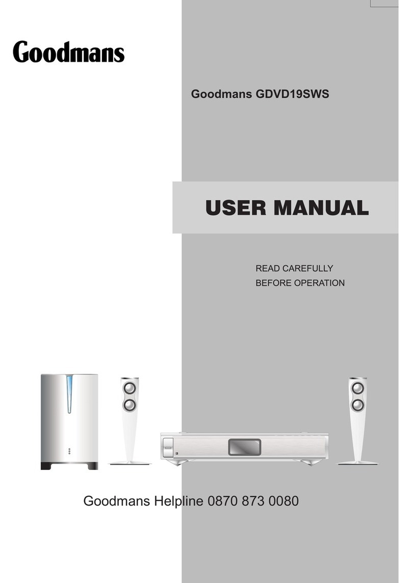 Goodmans GDVD19SWS user manual