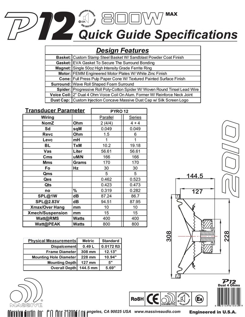 Massive Audio P12 Quick guide specifications