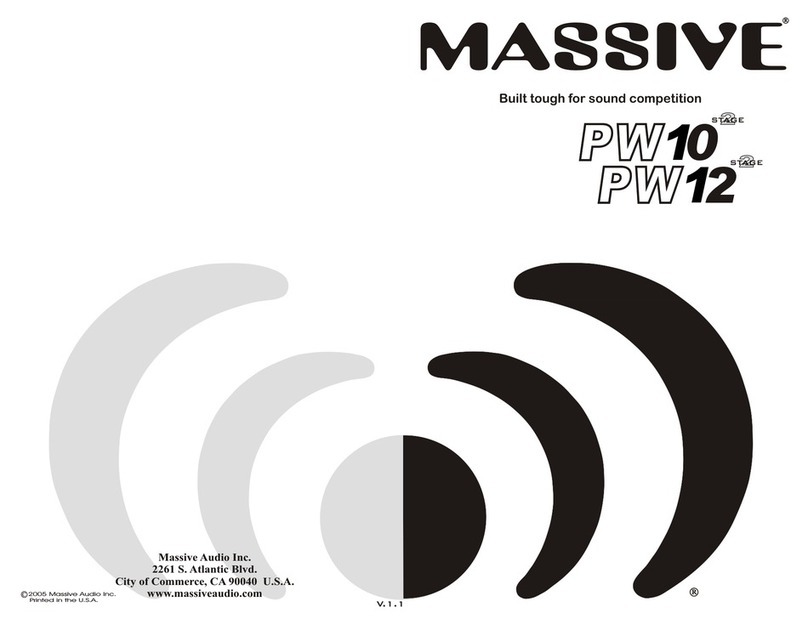 Massive Audio PW10 Stage 2 user manual