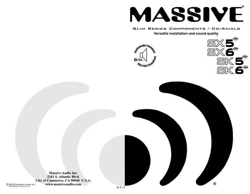 Massive Audio SX5 Stage II User manual