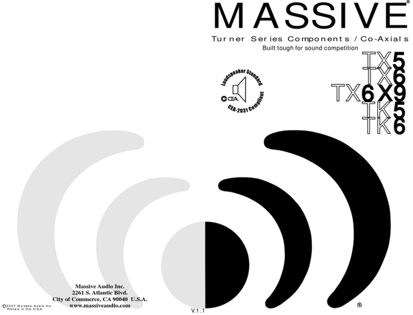 Massive Audio Turner TK5 user manual