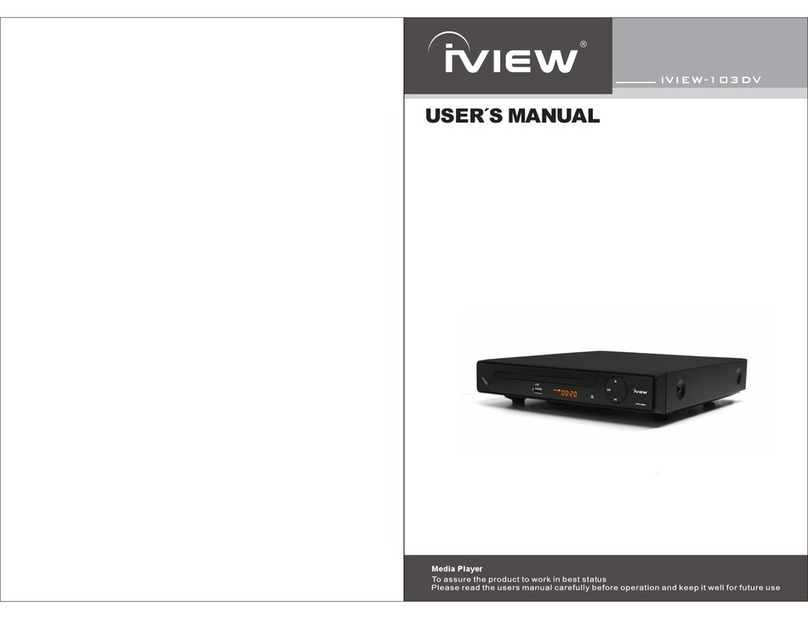 I-View iVIEW-103DV user manual