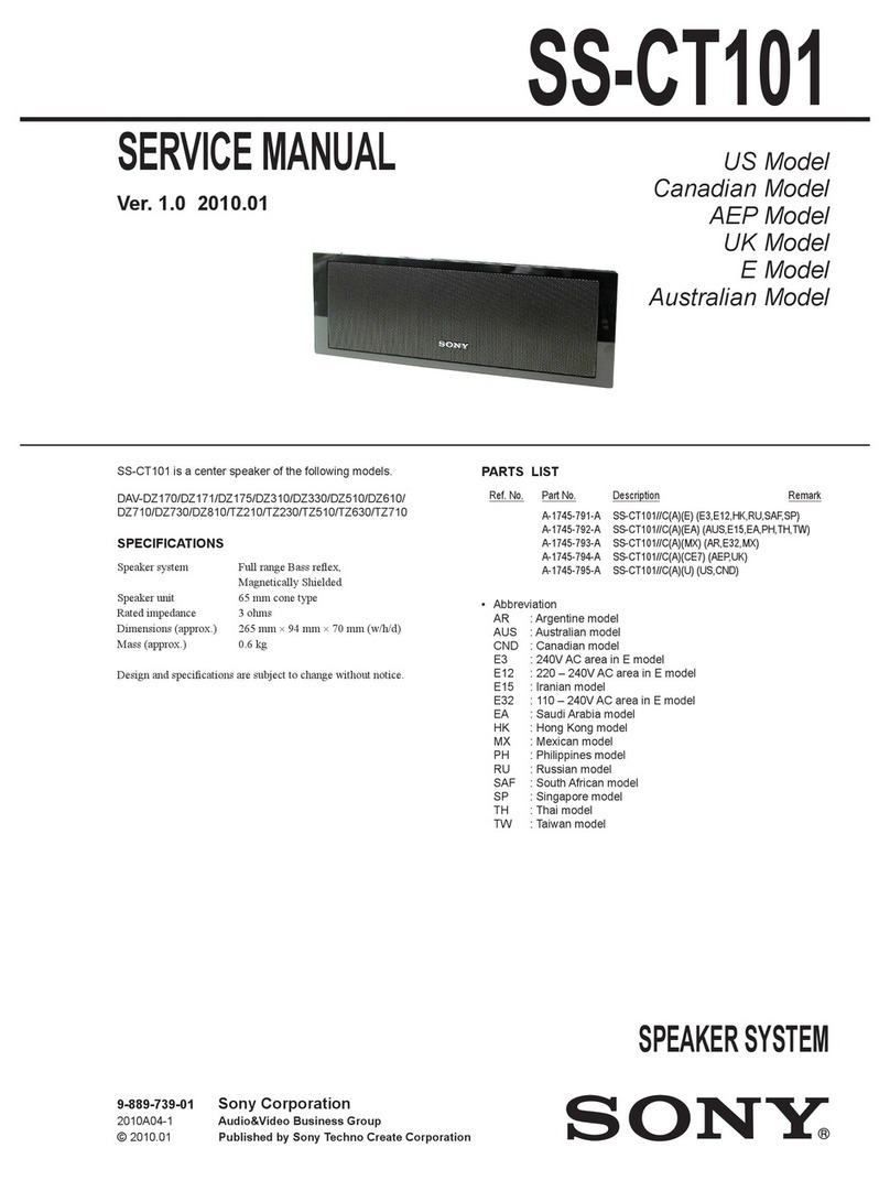 Sony SS-CT101 User manual
