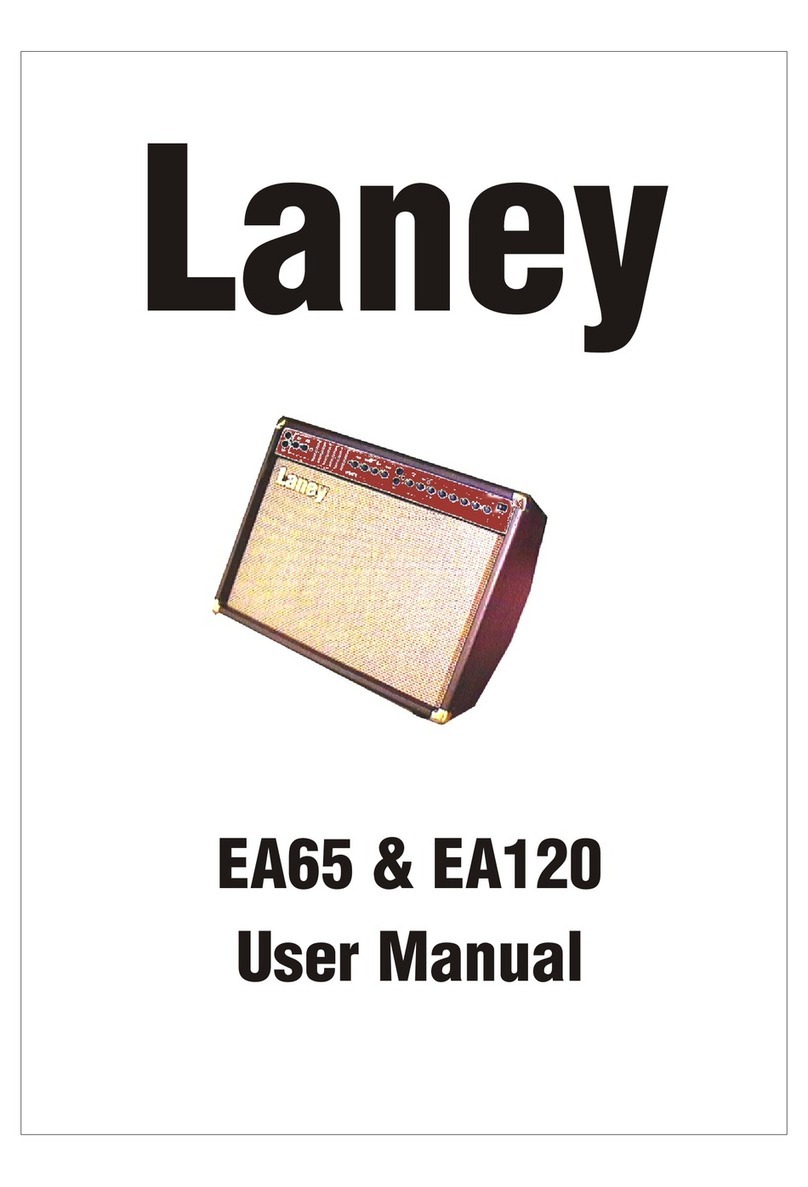 Laney EA120 user manual